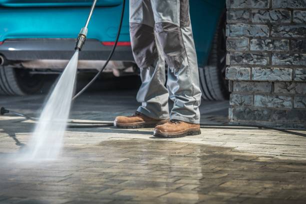 Best Soft Washing  in Narrows, VA