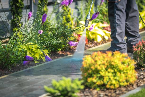 Trusted Narrows, VA Pressure Washing Experts