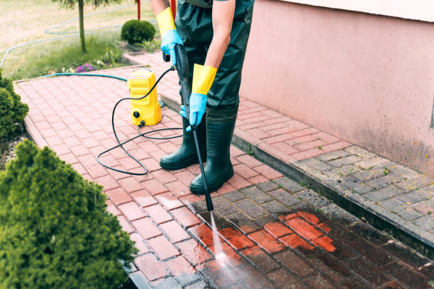 Best Roof Washing  in Narrows, VA