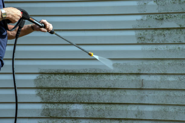 Best Spring Cleaning  in Narrows, VA