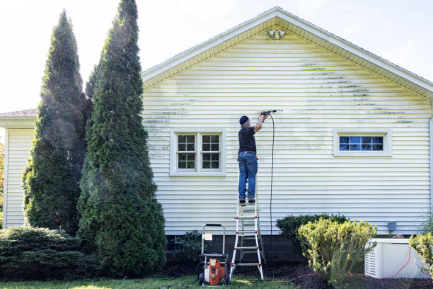 Best Fence Cleaning  in Narrows, VA